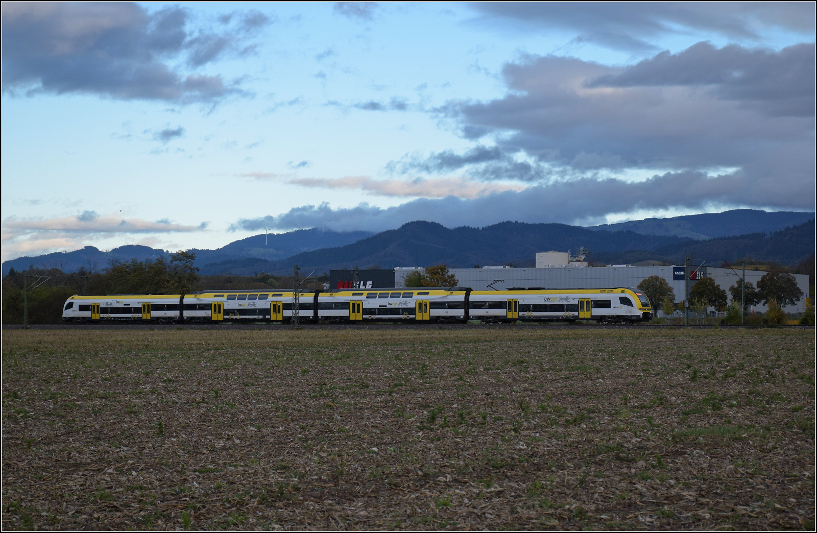 1462 010 bei Buggingen. Oktober 2025.