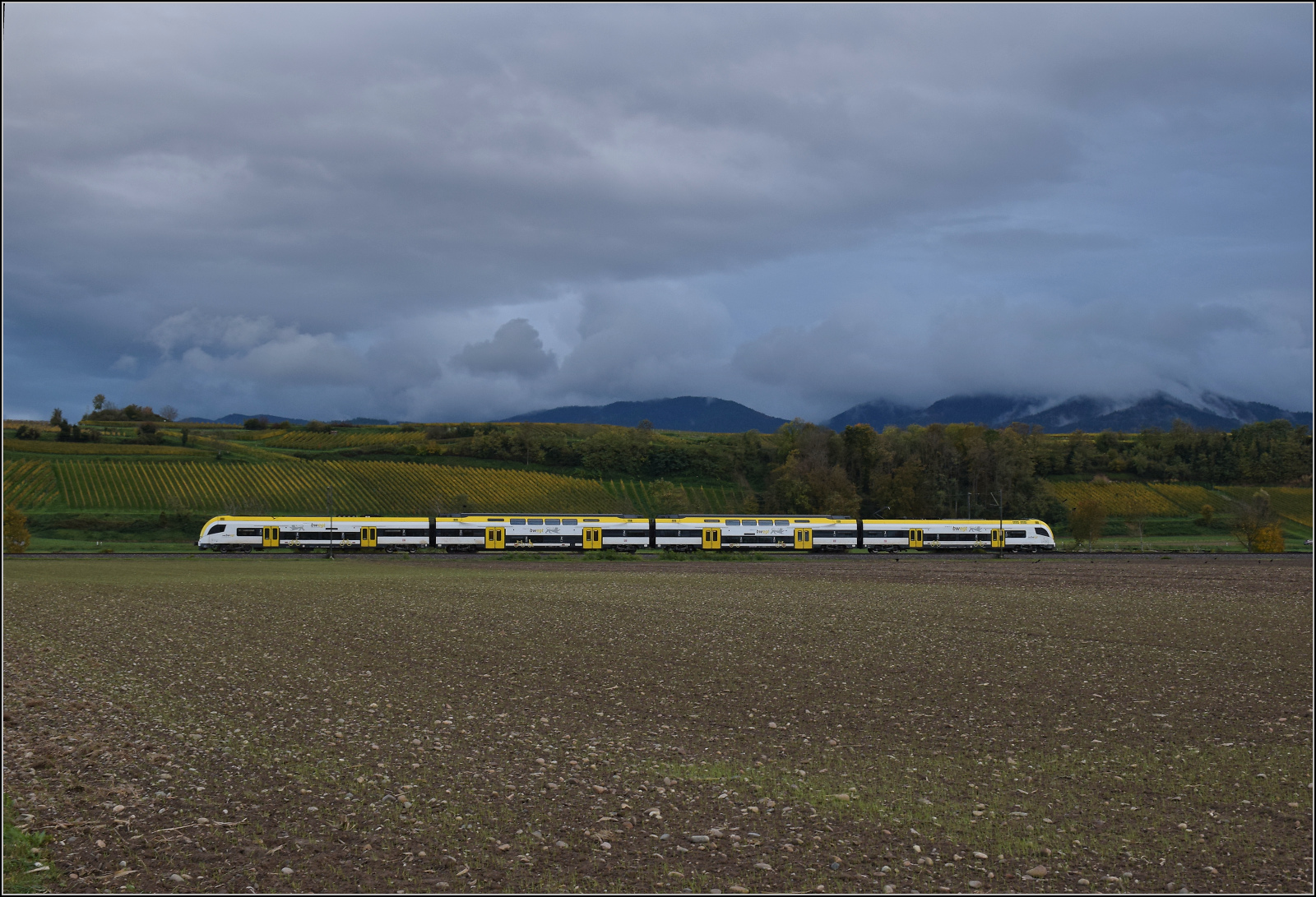 1462 010 bei Hügelheim. Oktober 2025.