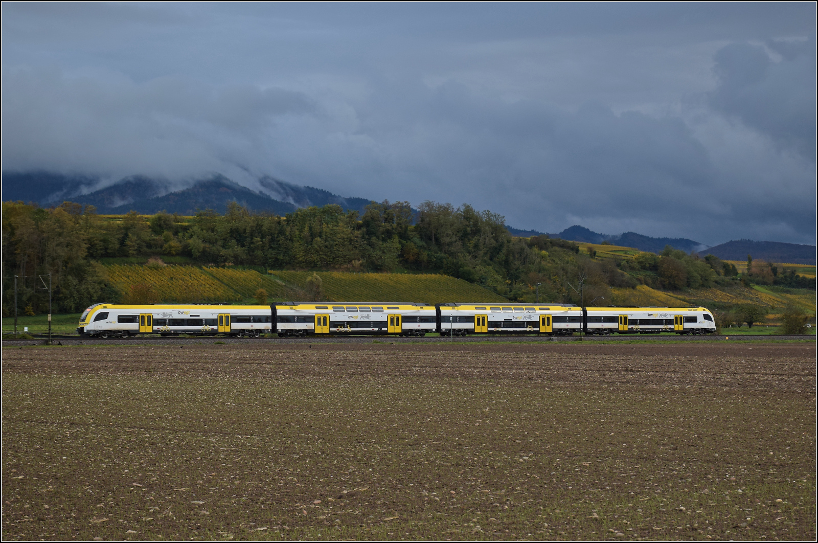 1462 010 bei Hügelheim. Oktober 2025.