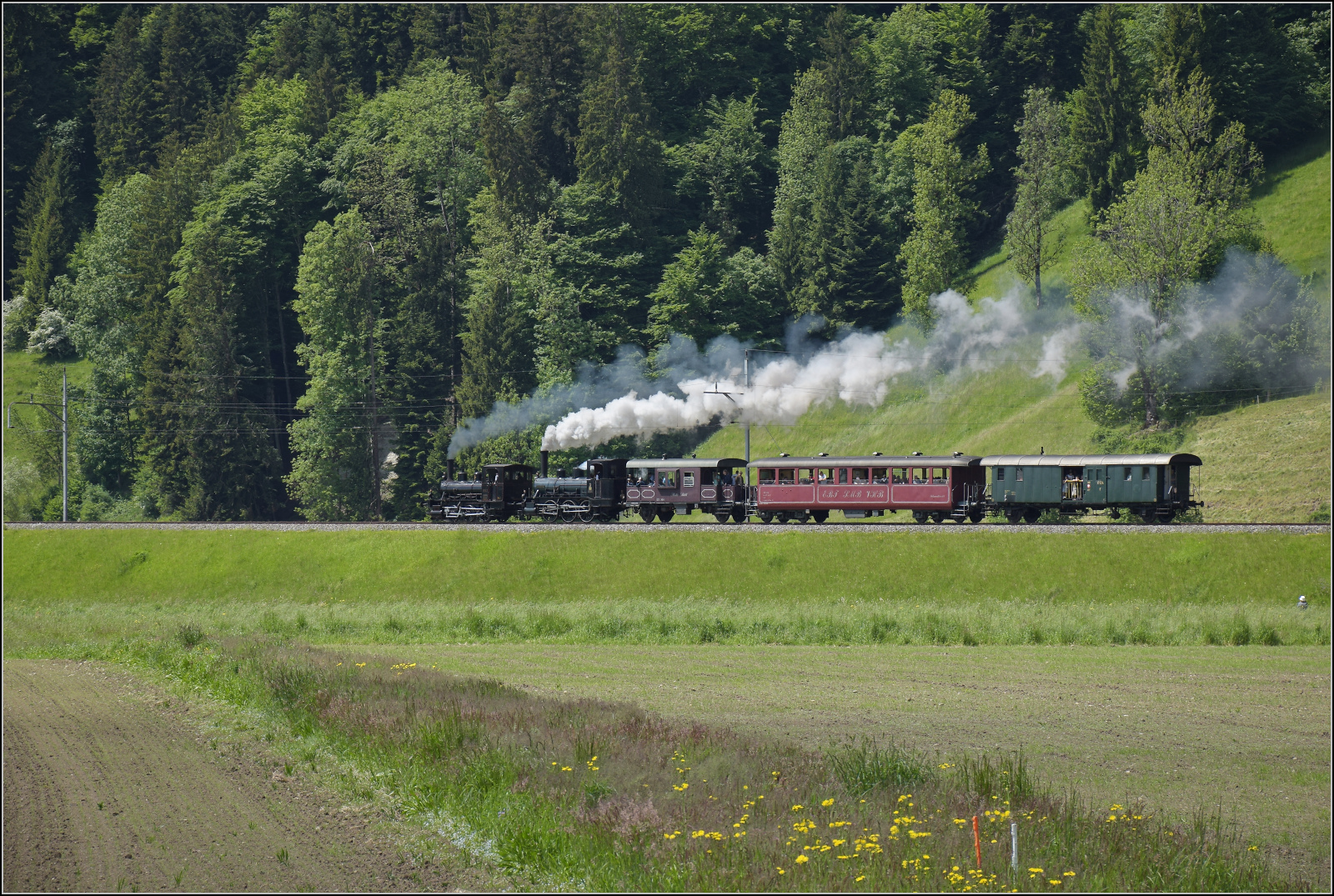 150 Jahre Emmentalbahn. 

Fotogene Vorbeifahrt von E 3/3 853 der Jura-Simplon und Ed 3/3 3 'Langnau' der Emmentalbahn mit ihrem Sonderzug auf der Bern-Luzern-Bahn. Emmenmatt Ried, Mai 2025.