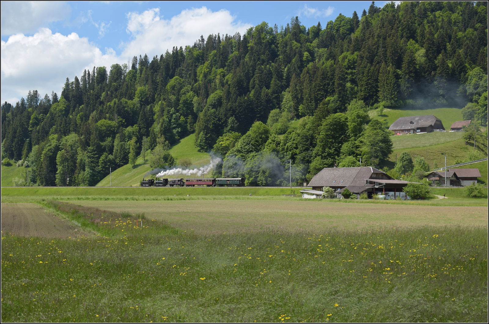 150 Jahre Emmentalbahn. 

Fotogene Vorbeifahrt von E 3/3 853 der Jura-Simplon und Ed 3/3 3 'Langnau' der Emmentalbahn mit ihrem Sonderzug auf der Bern-Luzern-Bahn. Emmenmatt Ried, Mai 2025.