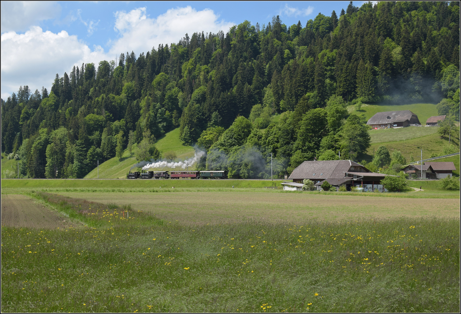 150 Jahre Emmentalbahn. 

Fotogene Vorbeifahrt von E 3/3 853 der Jura-Simplon und Ed 3/3 3 'Langnau' der Emmentalbahn mit ihrem Sonderzug auf der Bern-Luzern-Bahn. Emmenmatt Ried, Mai 2025.
