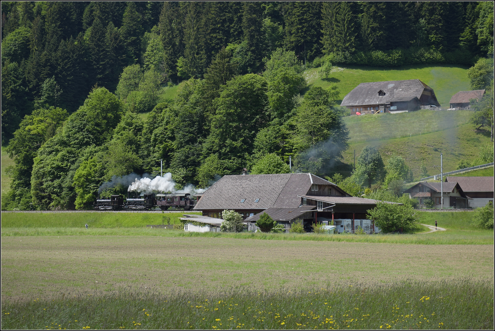 150 Jahre Emmentalbahn. 

Fotogene Vorbeifahrt von E 3/3 853 der Jura-Simplon und Ed 3/3 3 'Langnau' der Emmentalbahn mit ihrem Sonderzug auf der Bern-Luzern-Bahn. Emmenmatt Ried, Mai 2025.
