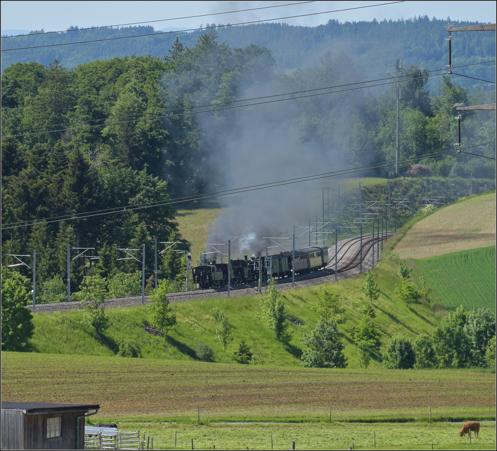 150 Jahre Emmentalbahn. Vierfachtraktion auf Gleisen der Bernischen Staatsbahn.

Zum Abschluss das Fest mit allen vier momentan betriebsfähigen Dampfloks der Dampfbahn Bern. Ed 3/4 51 der Bern-Schwarzenburg-Bahn, E 3/3 1 'Lise'des Gaswerks Bern, Ed 3/3 3 'Langnau' der Emmentalbahn und E 3/3 853 der Jura-Simplon-Bahn. Mit mächtigem Pfeifkonzert und unübersehbarer Rauchwolke nähert sich das ungewöhnliche Gespann aus Worb dem Bahnhof Tägertschi. Mai 2025.