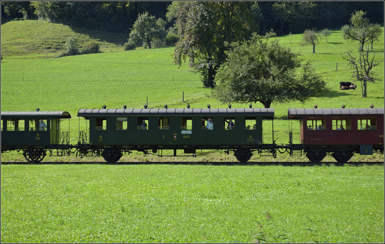 150 Jahre Tsstalbahn.

Der Wagen C 6075 der SBB wurde 1913 von der Waggonfabrik Schlieren geliefert und konnte sich von 1957 bis 1975 im Dienst bei der RHB ber die Zeit retten. Anschliessend ging es zur DVZO, die ihn mustergltig aufgearbeitet bis heute im Museumsbetrieb fahren lsst. Er fhrt am Jublium der Tsstalbahn im Zug mit Ec 3/5 9 der BT mit. Bussenthal, September 2025.