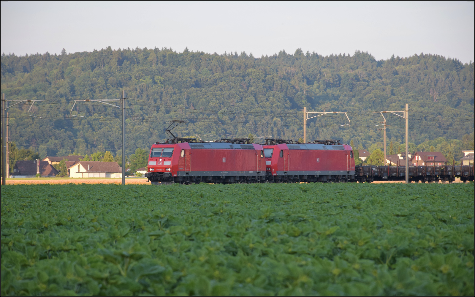 185 100 und 185 119 bei Henschiken, Juni 2025.