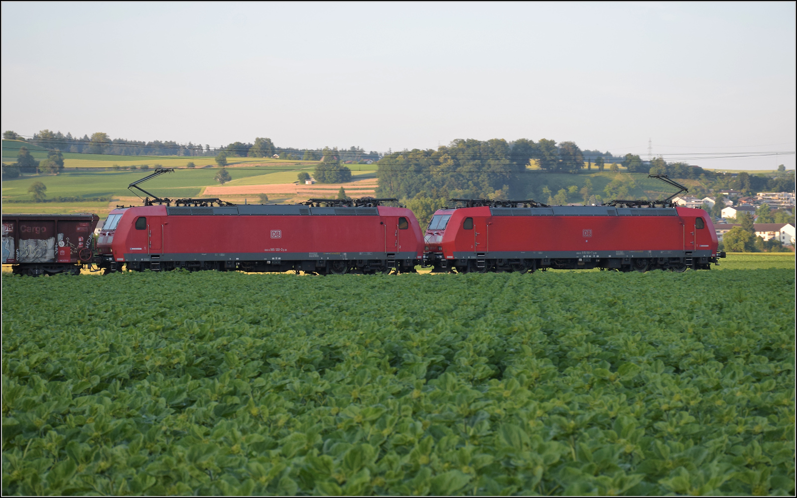 185 118 und 185 120 bei Henschiken, Juni 2025.
