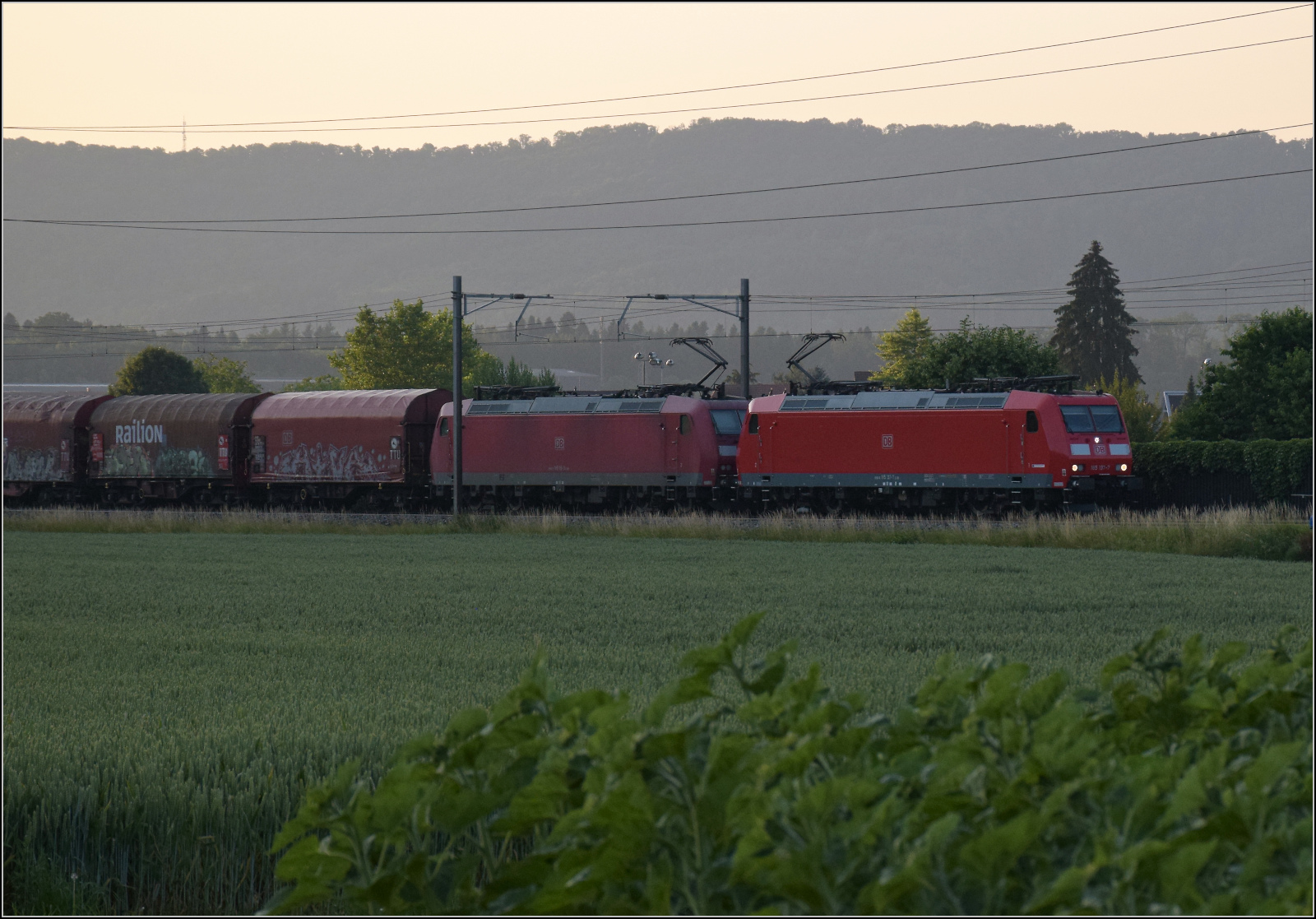 185 137 und 185 115 bei Henschiken, Juni 2025.