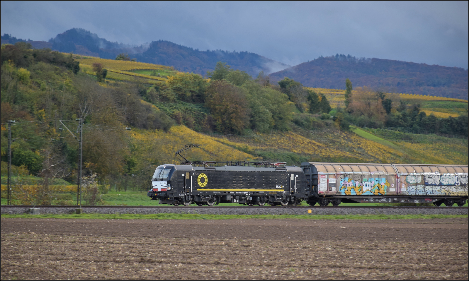 193 664 von Beacon bei Hügelheim. Oktober 2025.