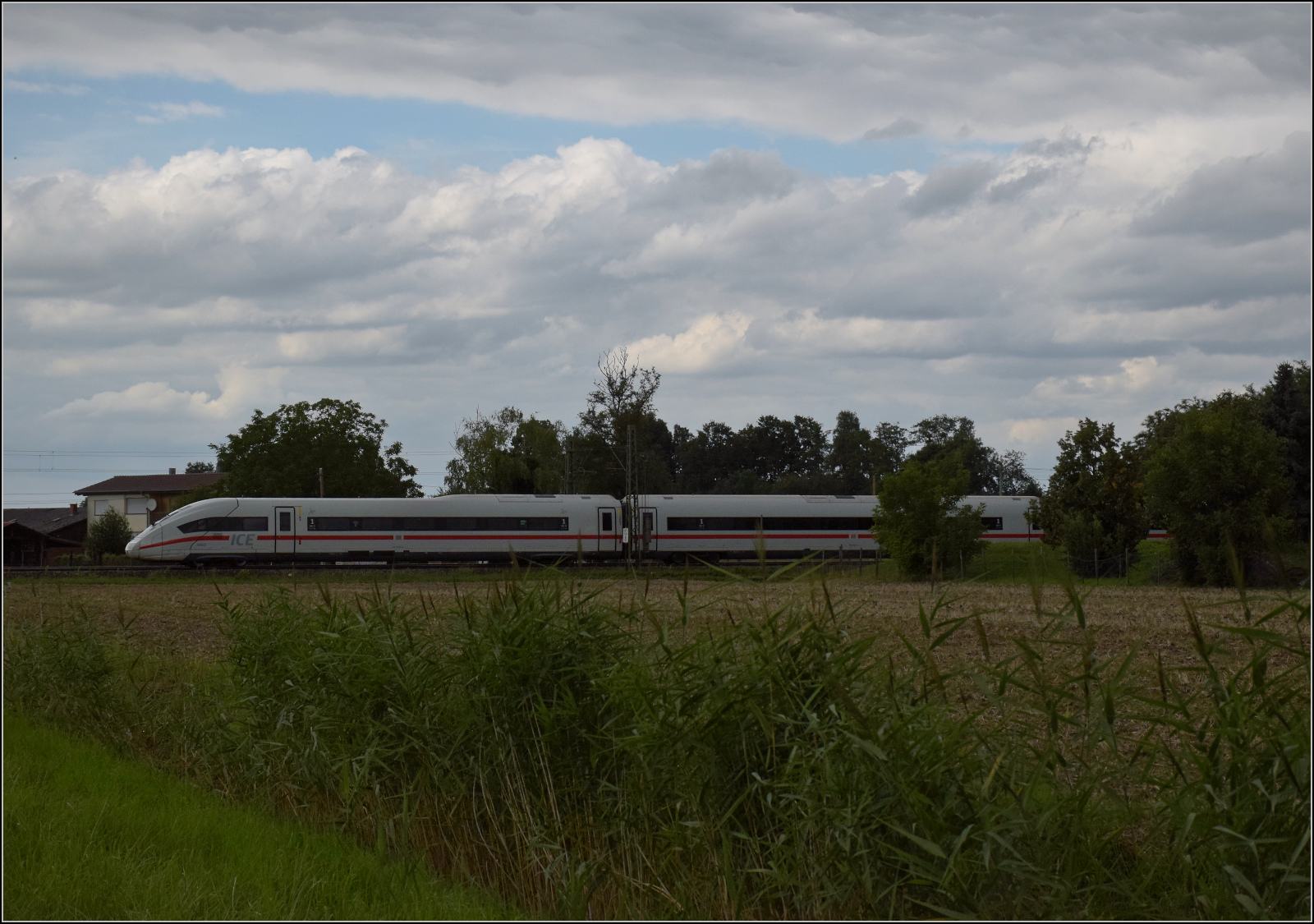 '412 003' - Tz 9003 bei Niederschopfheim. August 2025.