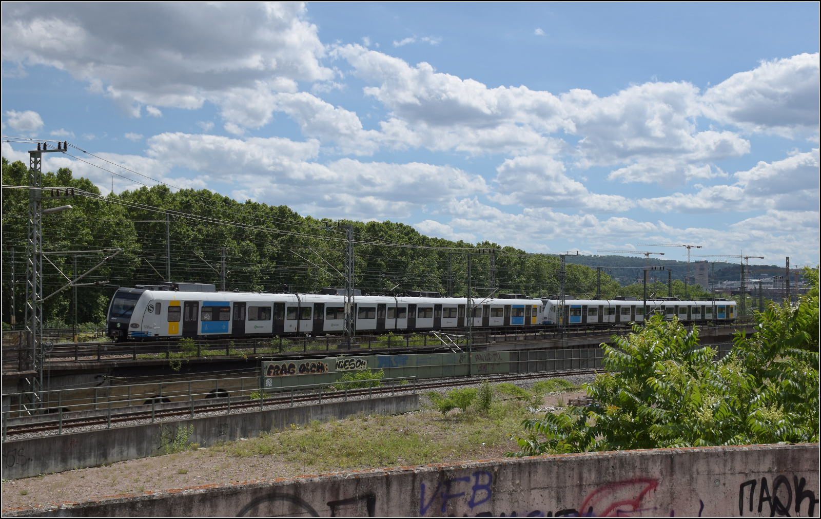 423 346 und 423 337 auf dem Weg nach S�den. Stuttgart, Juni 2026.