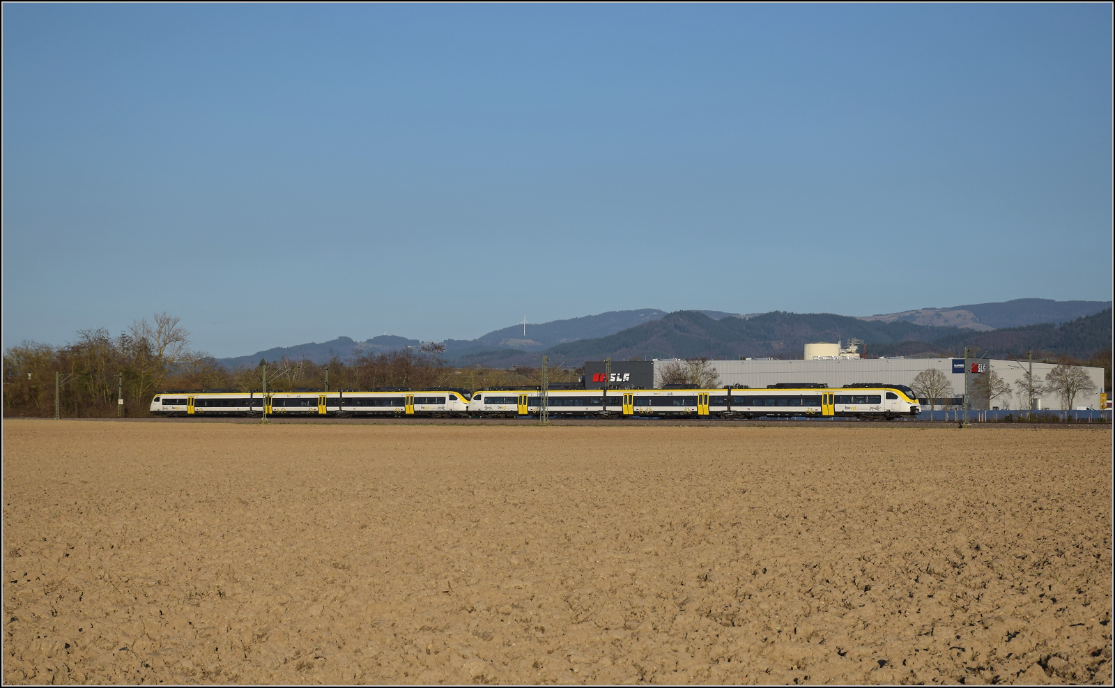 463 002 und 463 003 sind nordwärts bei Buggingen unterwegs. Februar 2026.