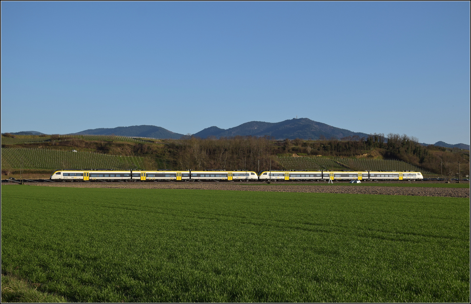 463 002 und 463 003 sind nordwärts bei Buggingen unterwegs. Februar 2026.