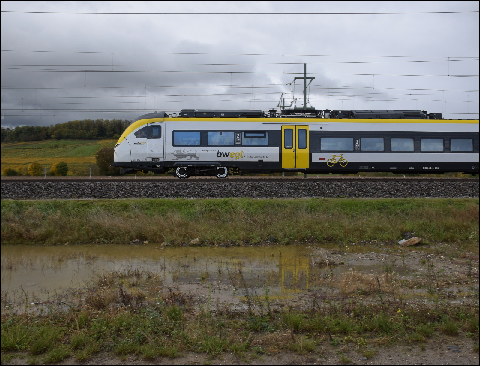 463 004 bei Schliengen. Oktober 2025.