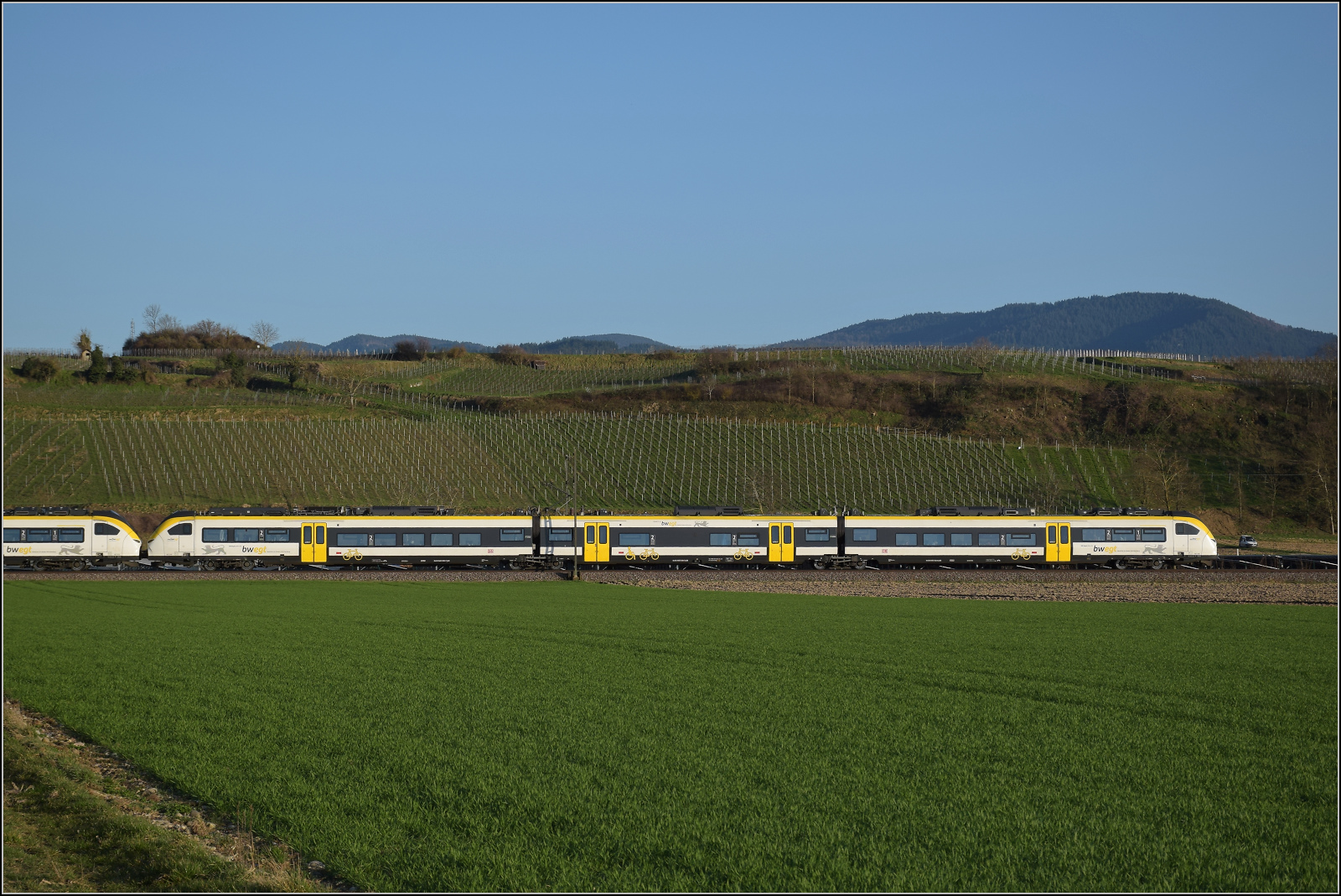 463 006 (im Bild) und 463 023 sind südwärts bei Hügelheim unterwegs. Februar 2026.