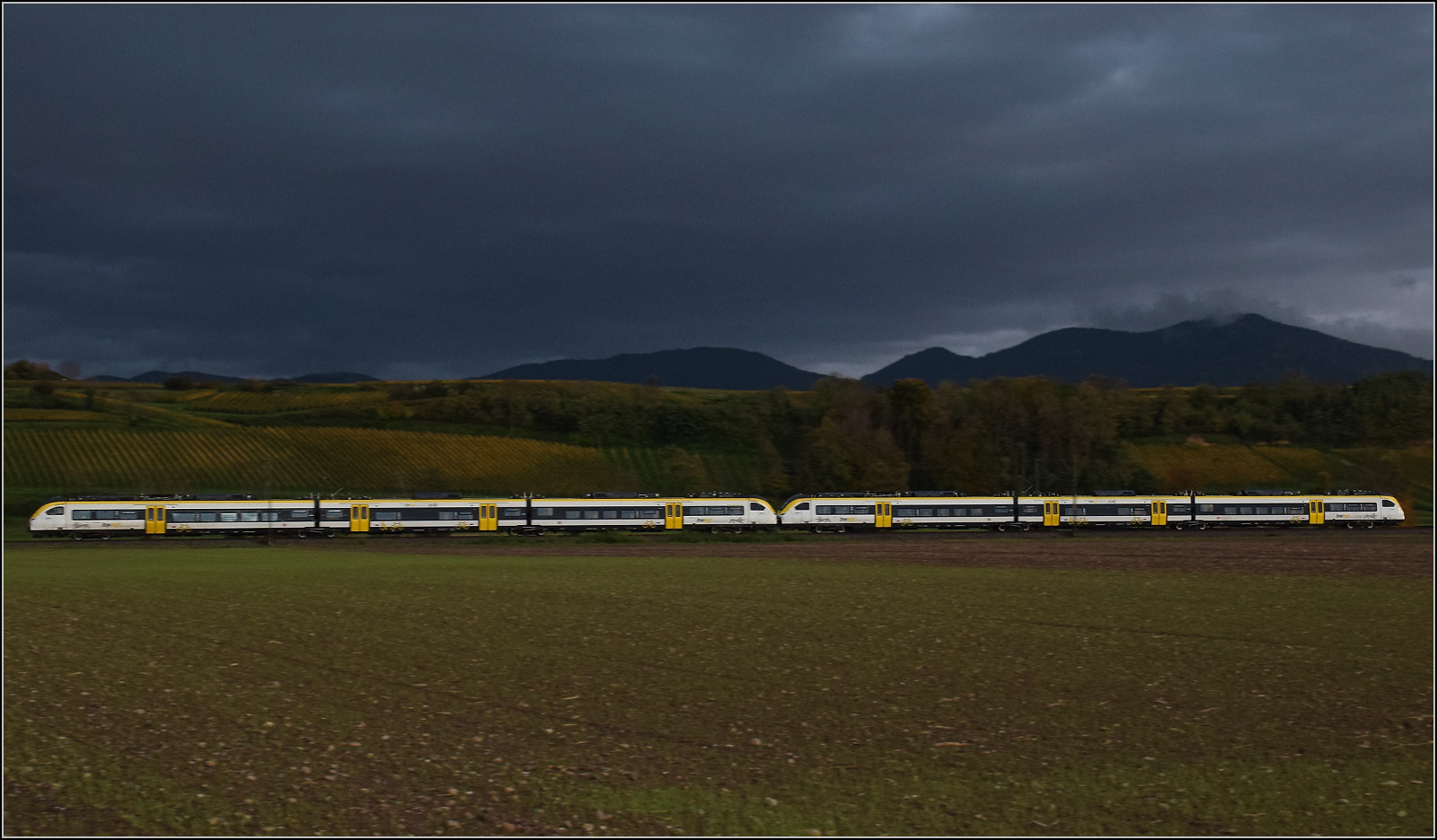 463 008 und 463 015 bei Buggingen. Oktober 2025.