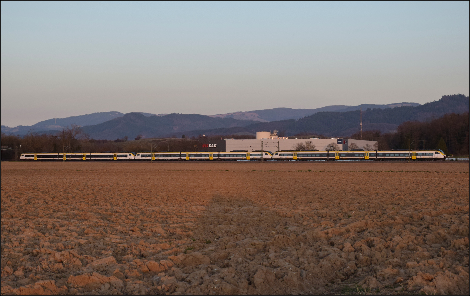 463 010, 463 018 und 463 014 fahren bei Buggingen im Abendlicht südwärts. Februar 2026.