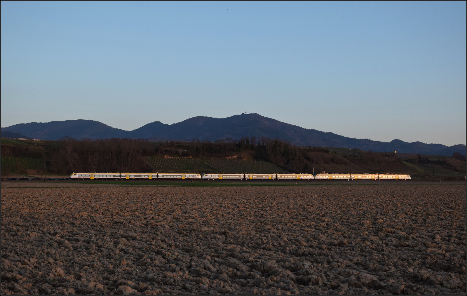 463 010, 463 018 und 463 014 fahren bei Buggingen im Abendlicht südwärts. Februar 2026.