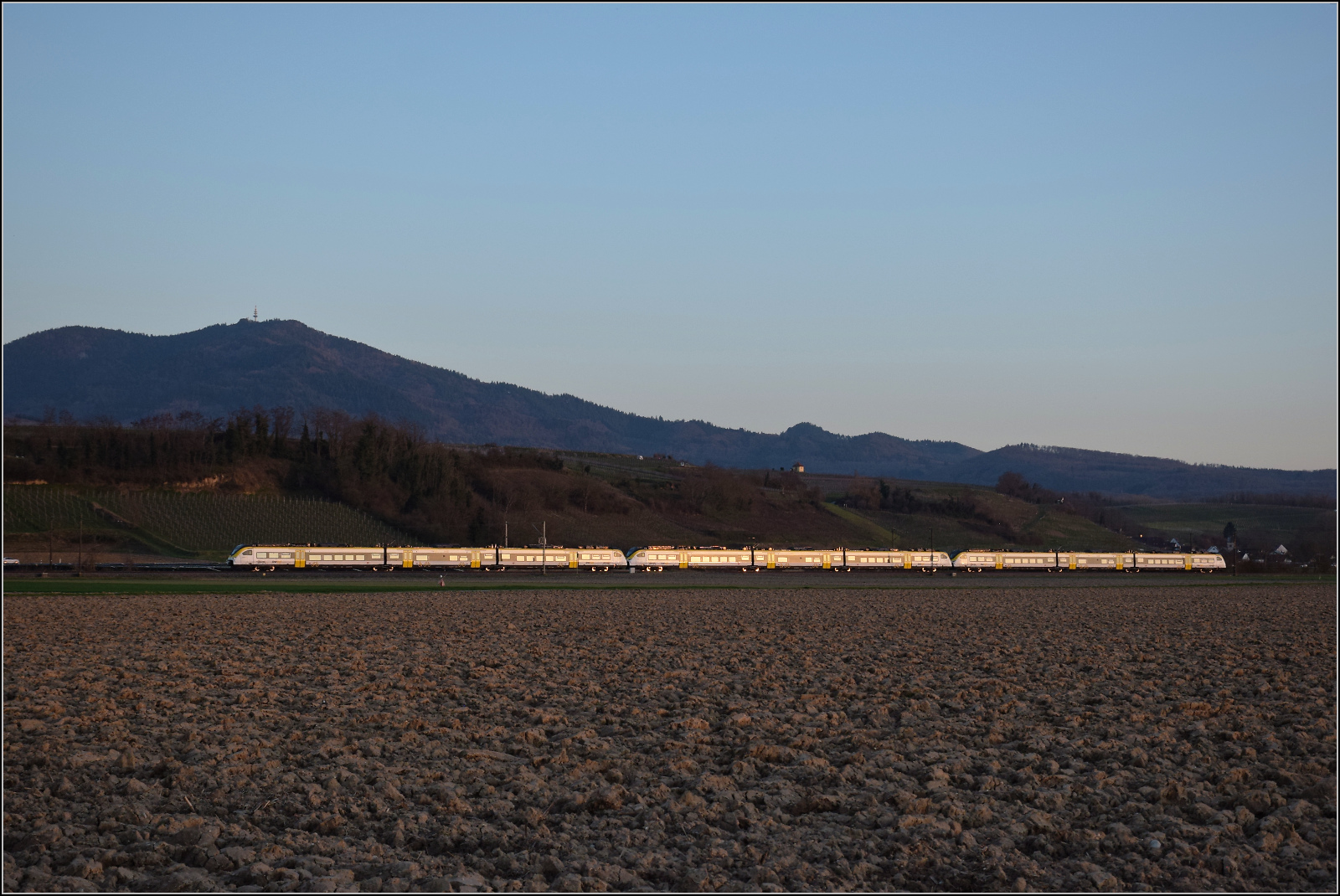 463 010, 463 018 und 463 014 fahren bei Buggingen im Abendlicht südwärts. Februar 2026.