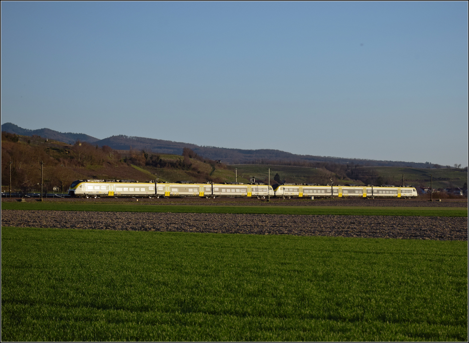 463 016 und 463 084 sind südwärts bei Buggingen unterwegs. Februar 2026.
