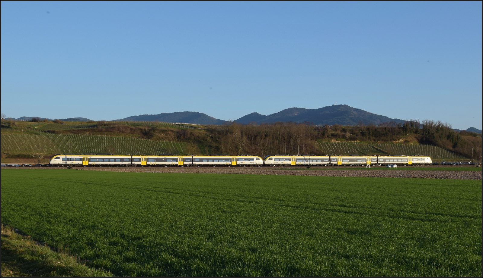 463 016 und 463 084 sind südwärts bei Buggingen unterwegs. Februar 2026.