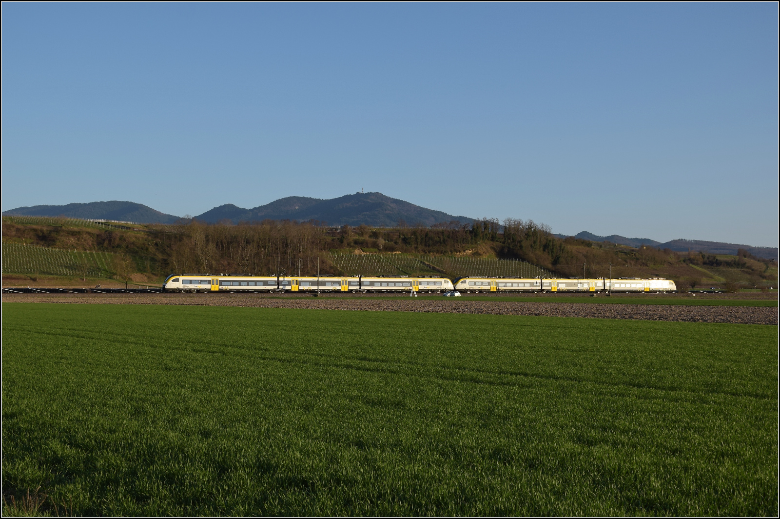 463 020 und 463 015 sind nordwärts bei Hügelheim unterwegs. Februar 2026.