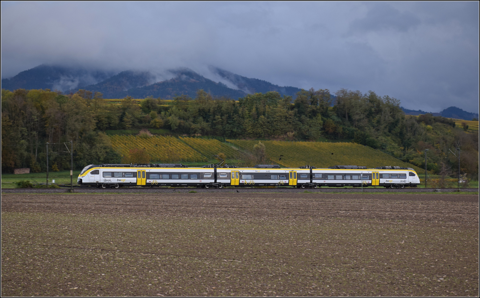 463 082 bei Buggingen. Oktober 2025.