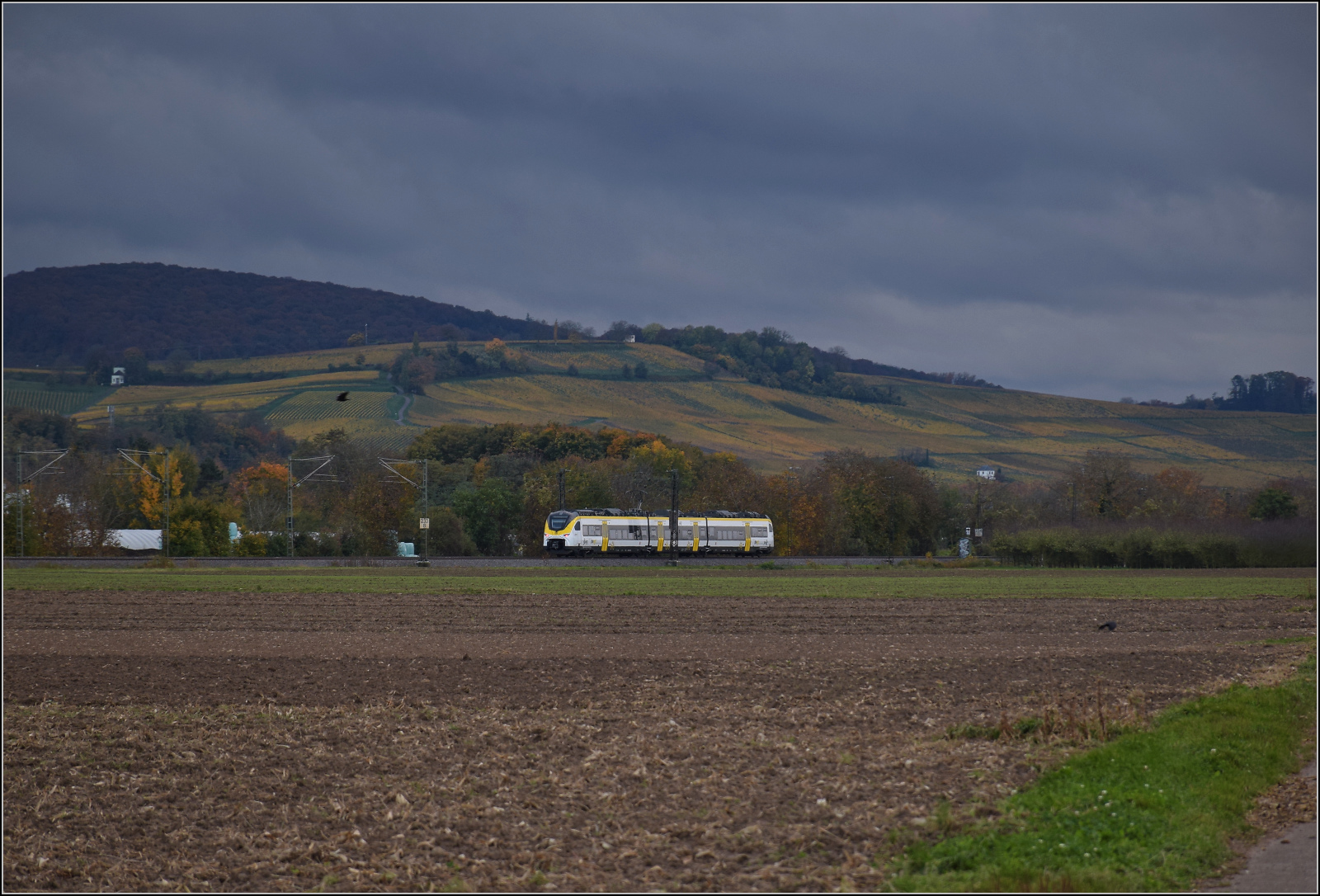 463 082 bei Hügelheim. Oktober 2025.