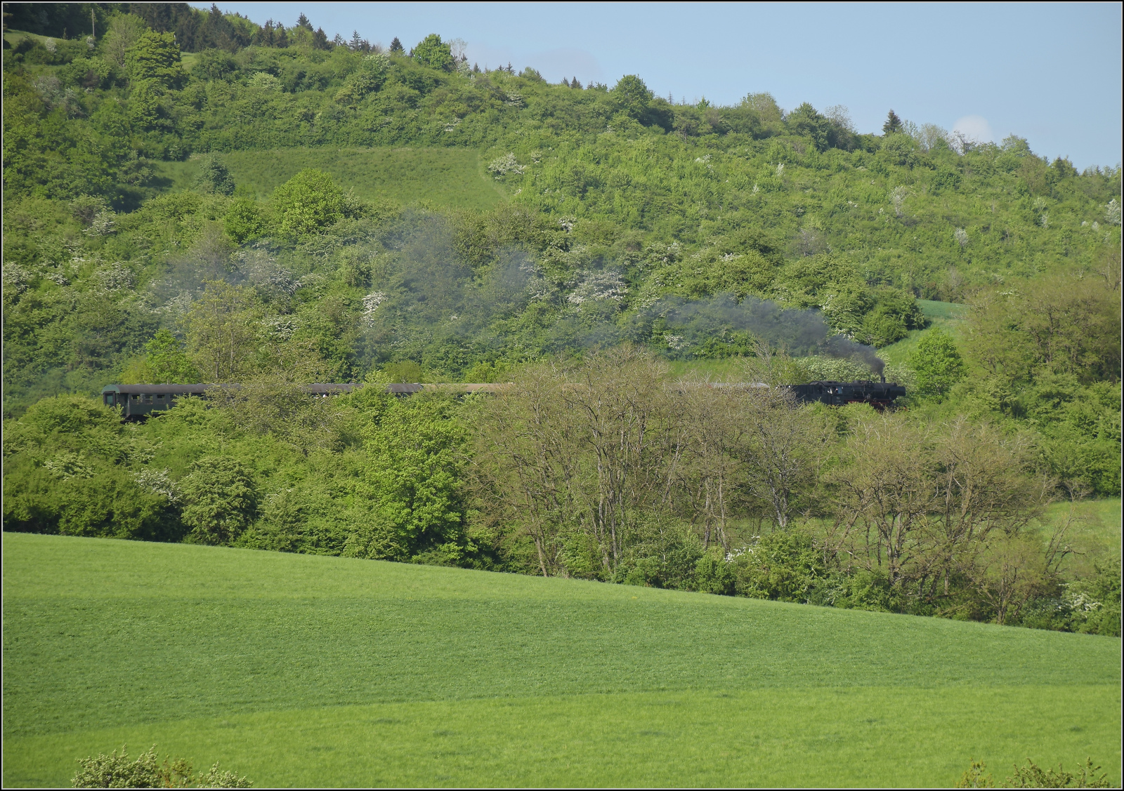 50 2988 mit Umbauwagen auf dem Weg nach Blumberg, das hinter dem Buchberg im Bild liegt. Fützen, Mai 2025.