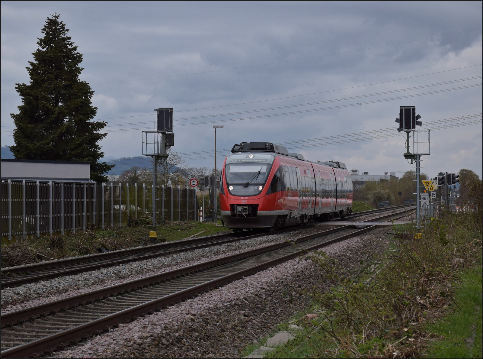 644 050 f�hrt rheinaufw�rts durch Warmbach beim dortigen Bahn�bergang. M�rz 2026.