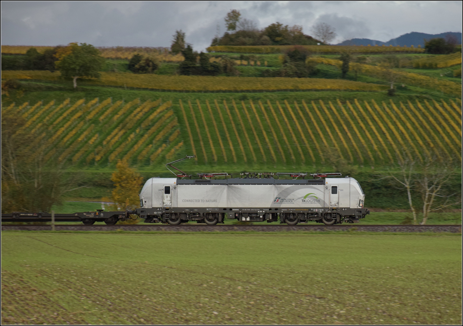 7193 315 von TXL bei Buggingen. Oktober 2025.