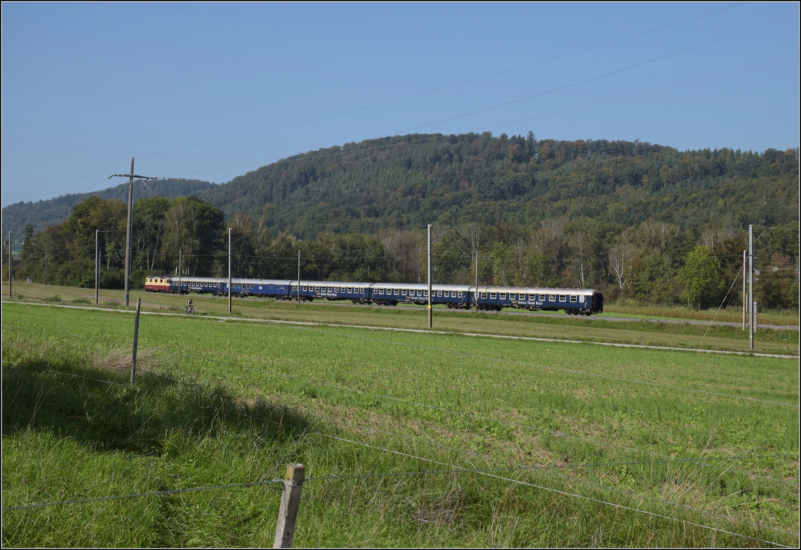 A 3/5 auf dem Schweizer Bähnle. 

Re 4/4 II 11393 in TEE-Lackierung als Restaurationszeitüberbrücker mit dem Swiss Train Bleu auf dem Weg nach Schaffhausen. Etzwilen, September 2023.