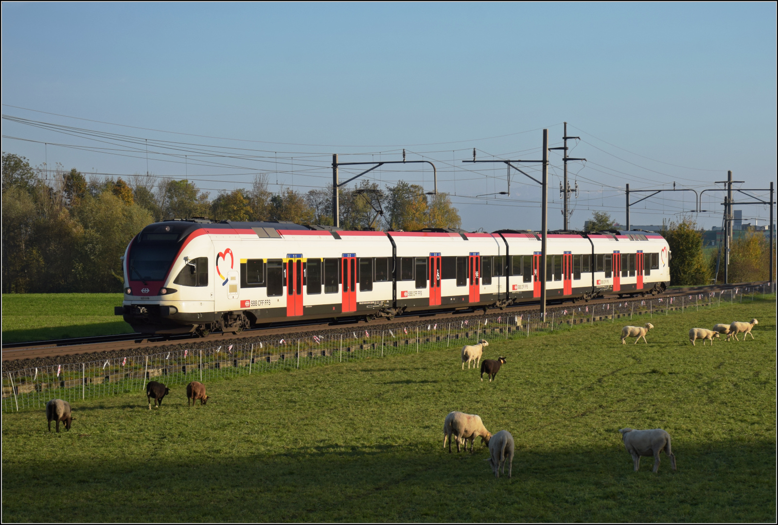 Aargauische Südbahn.

RABe 521 019 bei Boswil. November 2024.