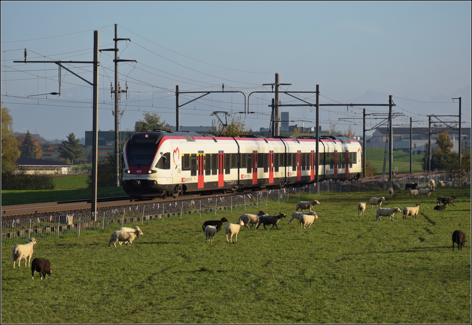 Aargauische Südbahn.

RABe 521 019 bei Boswil. November 2024.