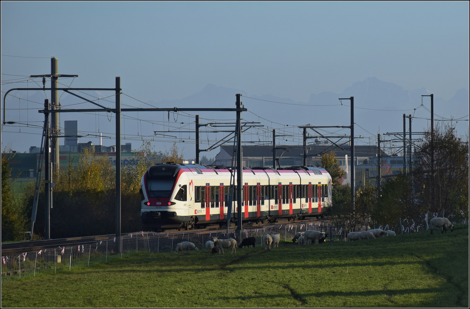 Aargauische Südbahn.

RABe 521 030 'Republic et Canton Jura' bei Boswil. November 2024.