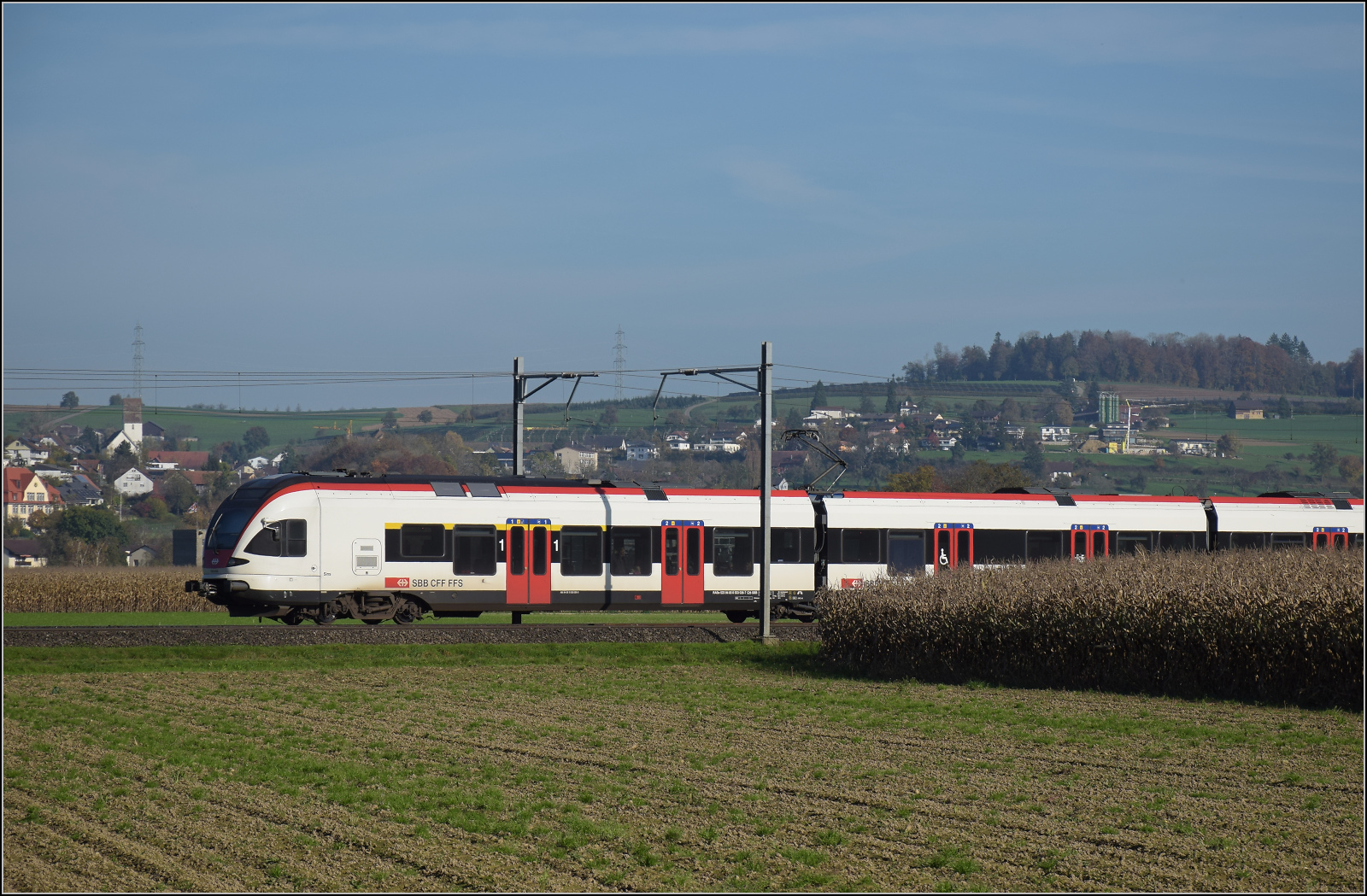 Aargauische Südbahn.

RABe 523 006 'Sins' bei Hendschiken. November 2024.