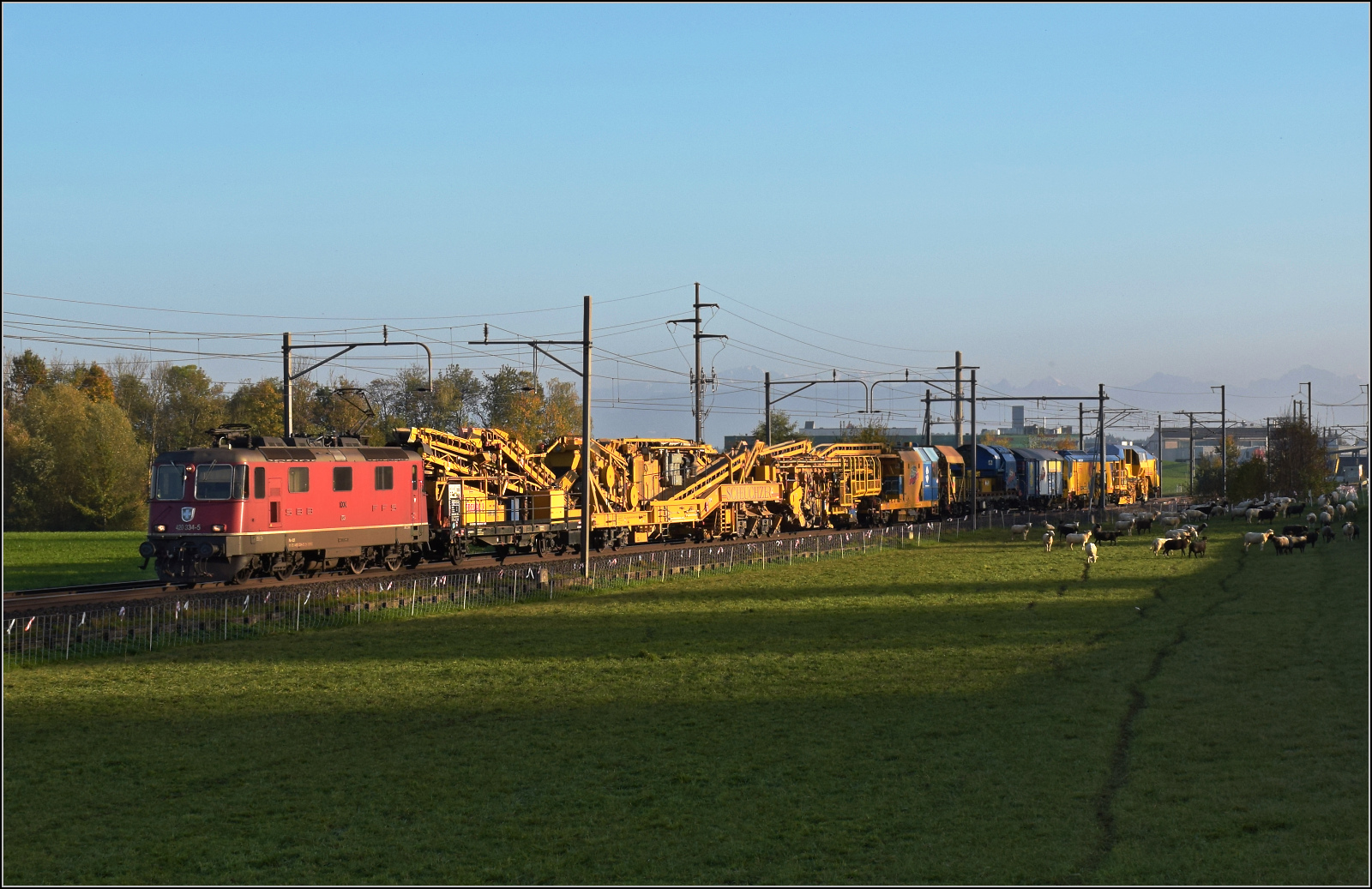 Aargauische Südbahn.

Re 4/4 II 11334 mit einem Bauzug von Scheuchzer scheuch(z)t die Schäfli bei Boswil von der Weide. November 2024.