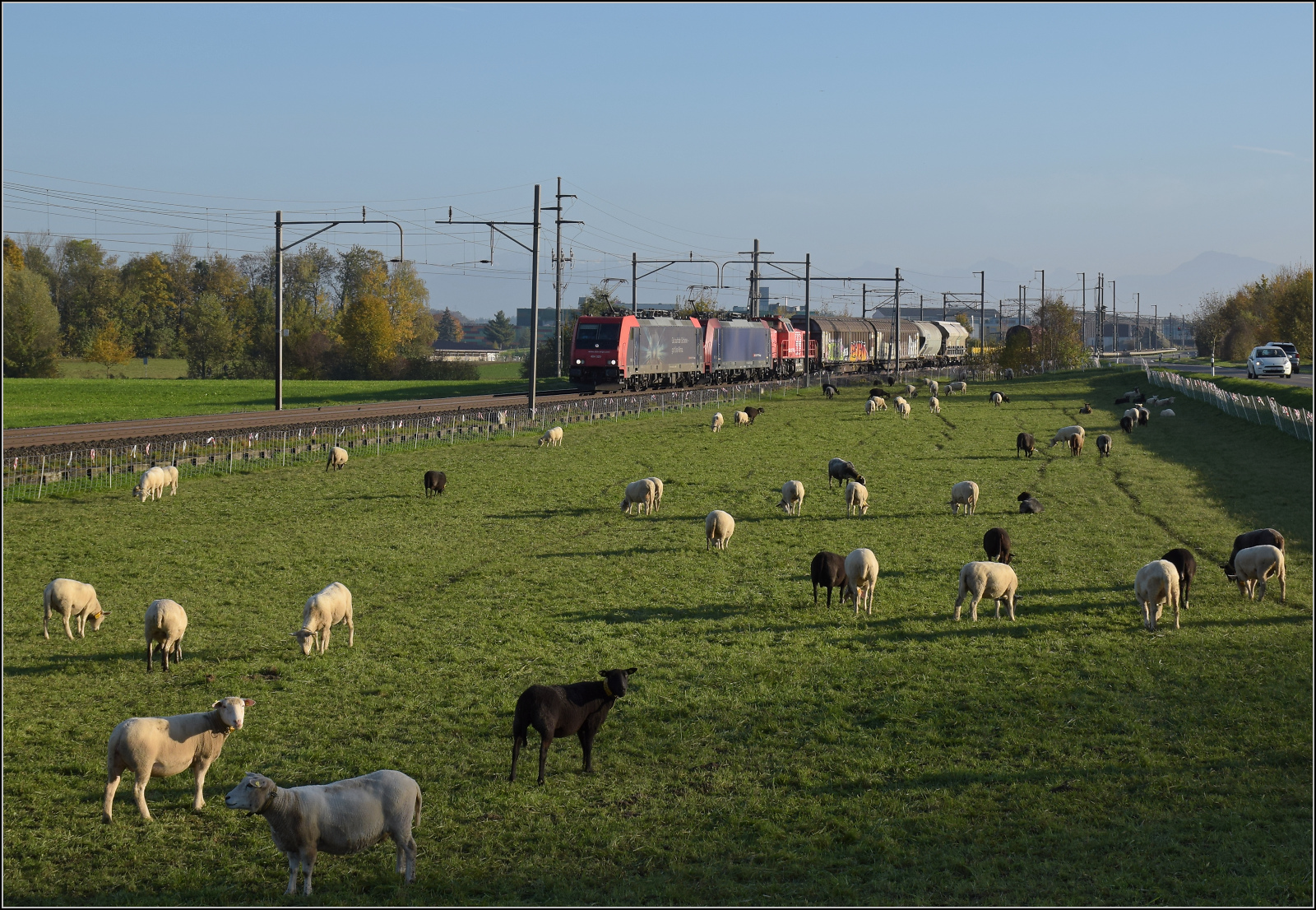 Aargauische Südbahn.

Re 484 020 'Gut für's Klima' und Re 484 013 nehmen in ihrem Zug Am 843 017 mit. Boswil, November 2024.