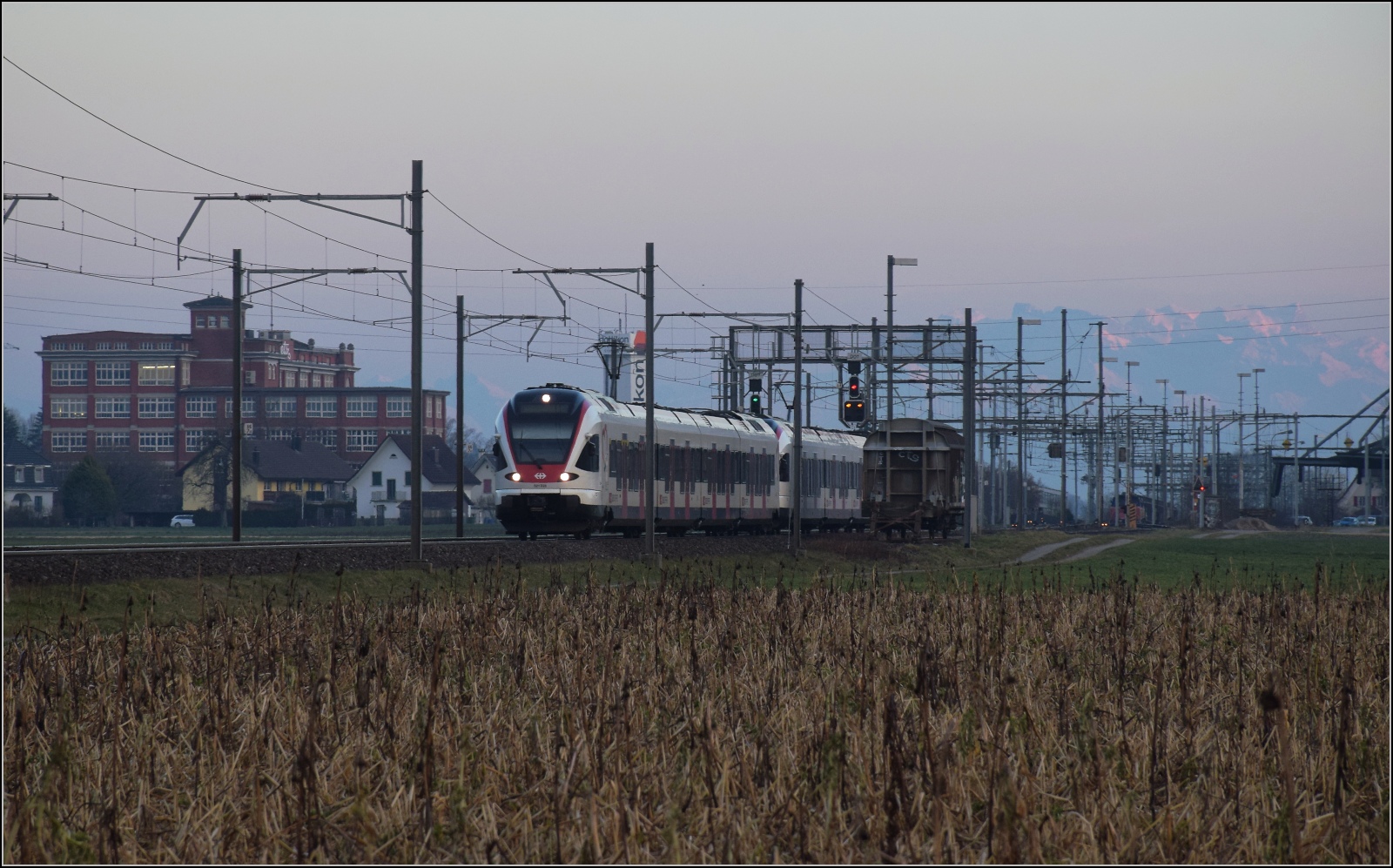Am fast dauerverschlossenen Bahnbergang.

RABe 521 028 'Liestal' und RABe 523 069 in Dottikon. Februar 2023.