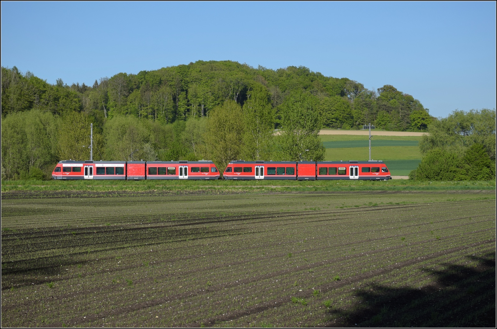 Auf der Biel-Täuffelen-Ins Bahn.

GTW Be 2/6 512 und GTW Be 2/6 513 der ASm bei Siselen. April 2022.