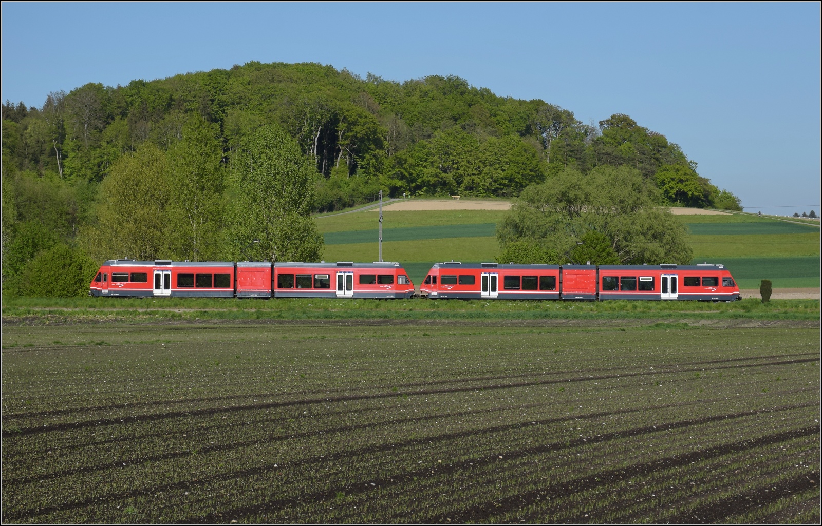 Auf der Biel-Tuffelen-Ins Bahn.

GTW Be 2/6 505 und GTW Be 2/6 503 der ASm bei Bttelen. April 2022.