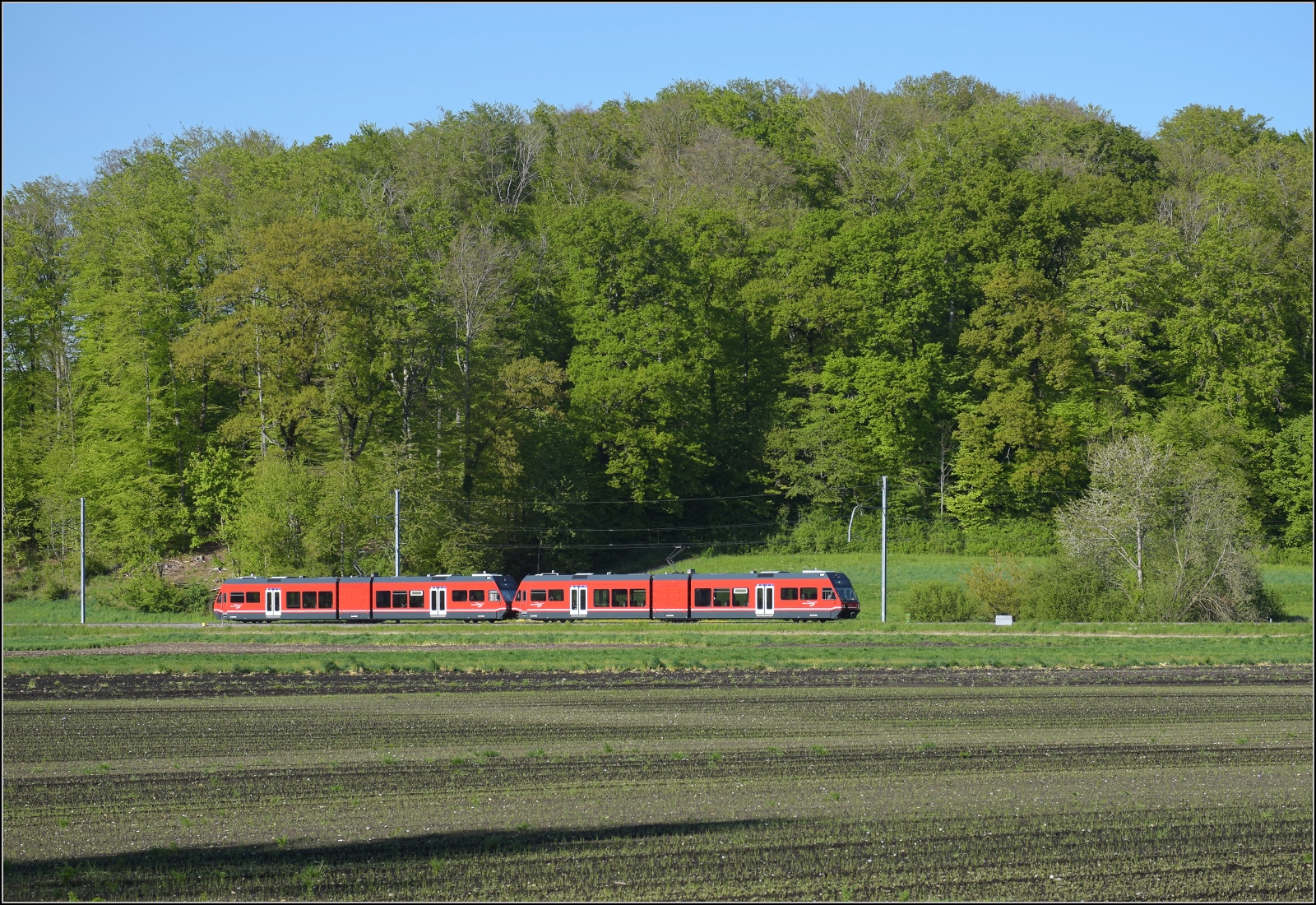 Auf der Biel-Täuffelen-Ins Bahn.

GTW Be 2/6 505 und GTW Be 2/6 503 der ASm bei Büttelen. April 2022.