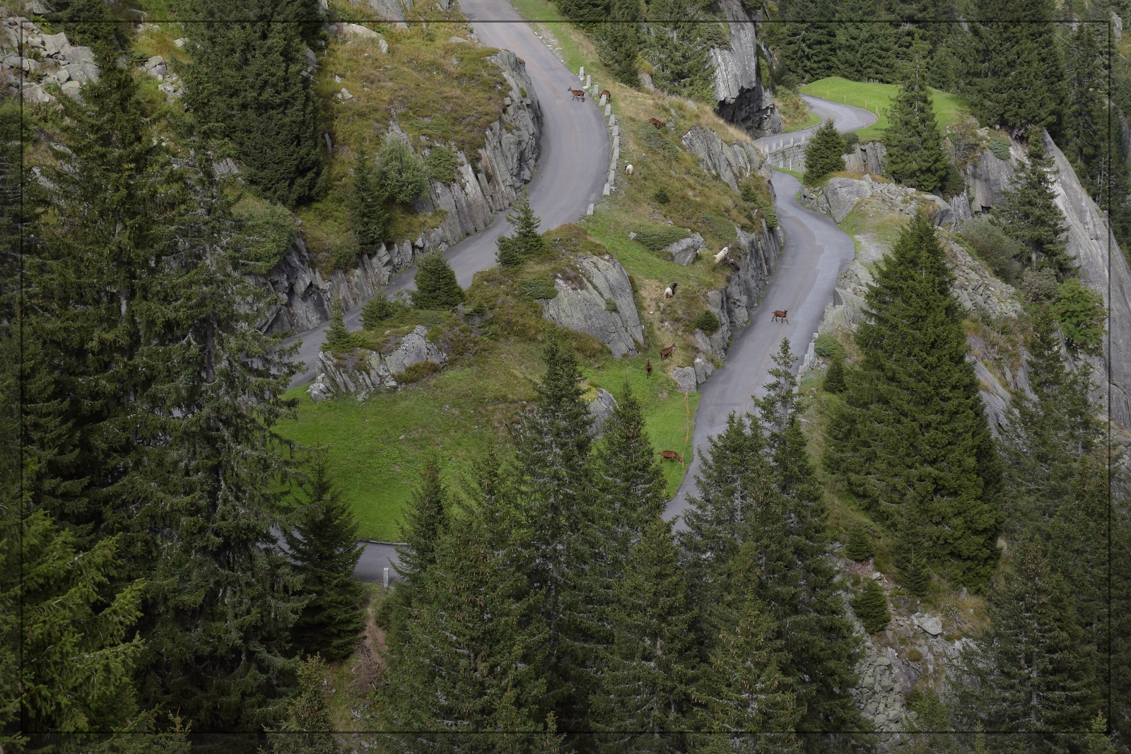 Auf der Göschneralp. September 2022.