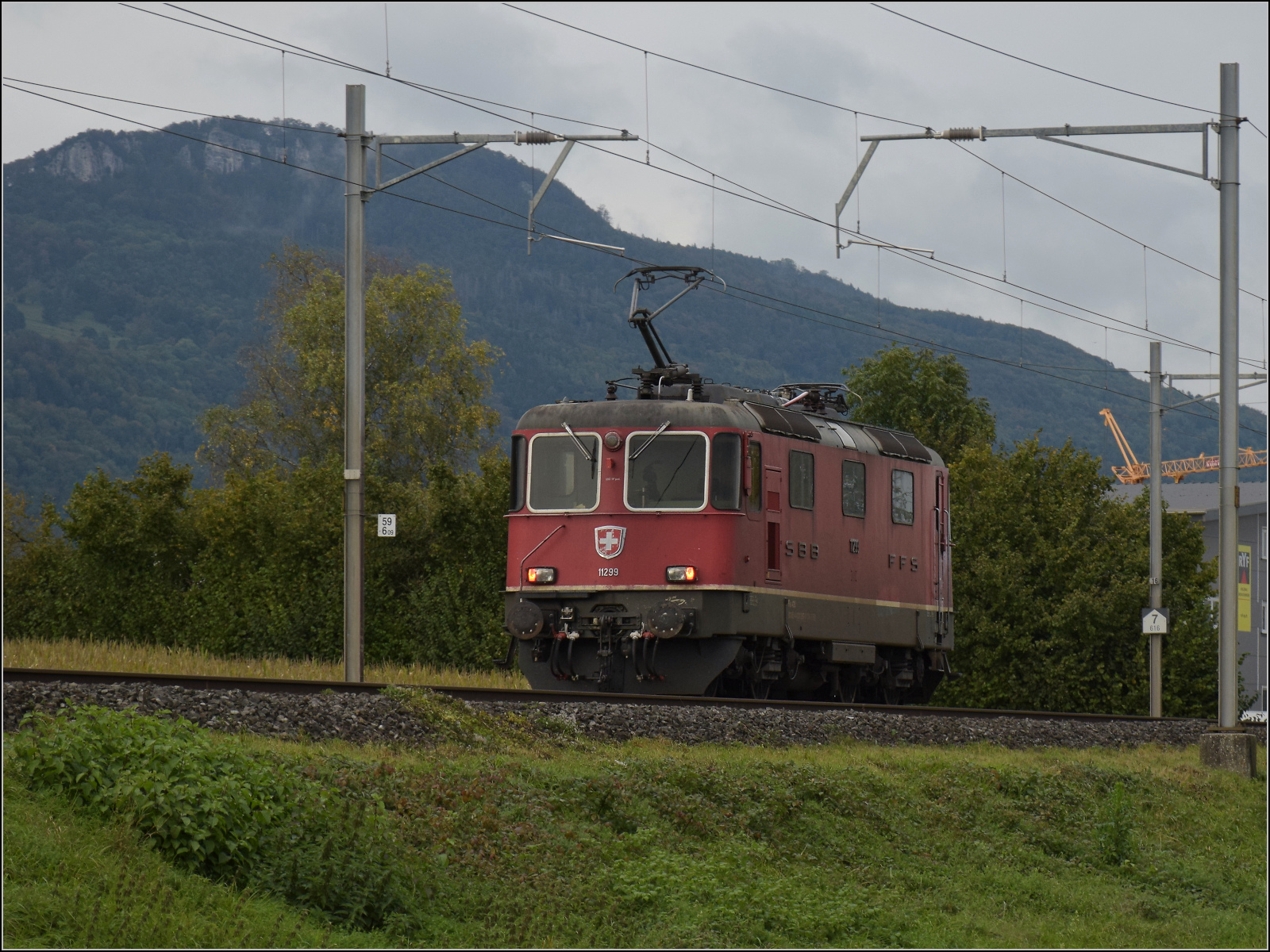 Auf der Schweizer Gäubahn.

Re 4/4 II 11299 unterwegs Richtung Oensingen. Oberbipp, Oktober 2024.