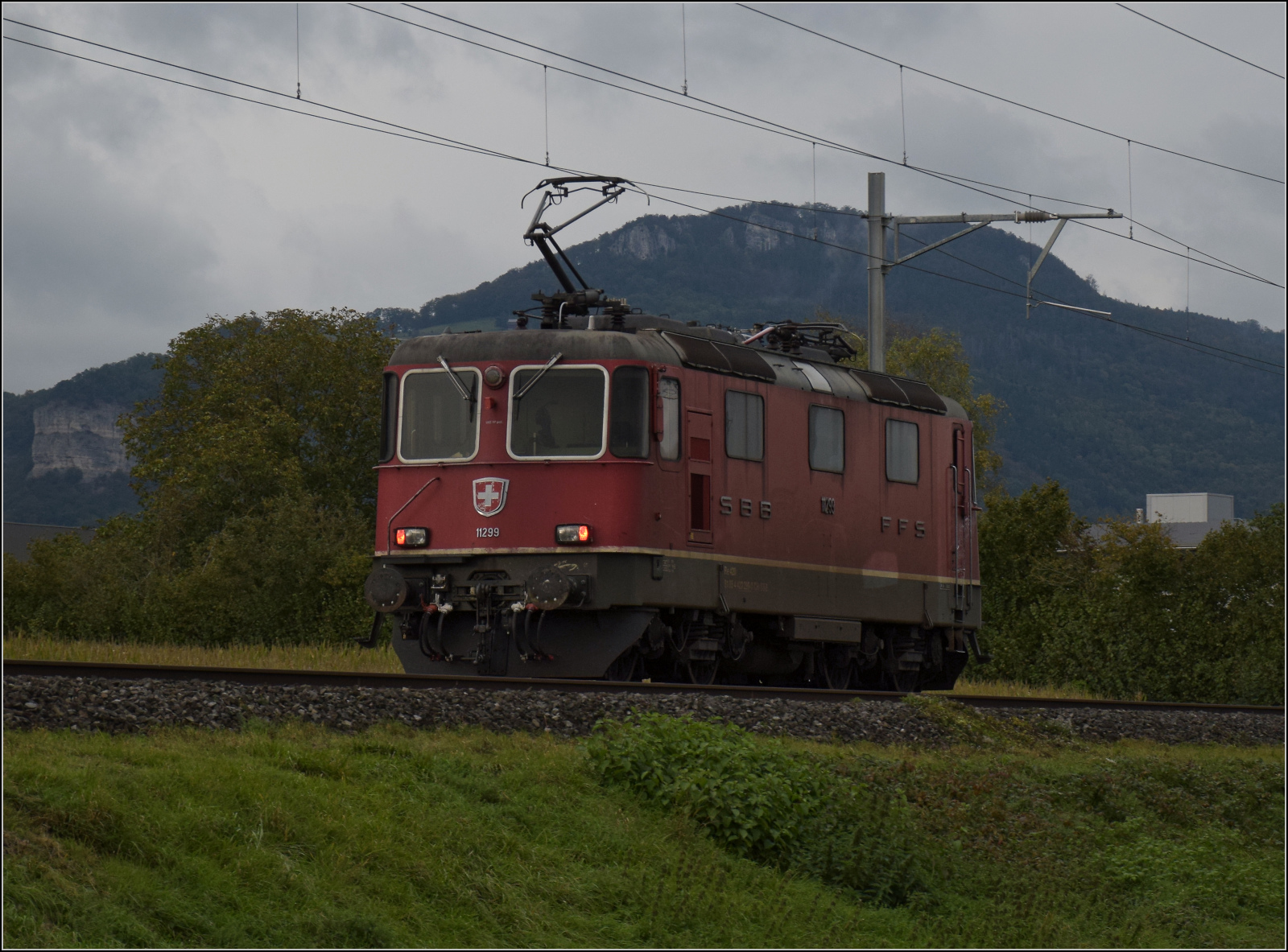 Auf der Schweizer Gäubahn.

Re 4/4 II 11299 unterwegs Richtung Oensingen. Oberbipp, Oktober 2024.