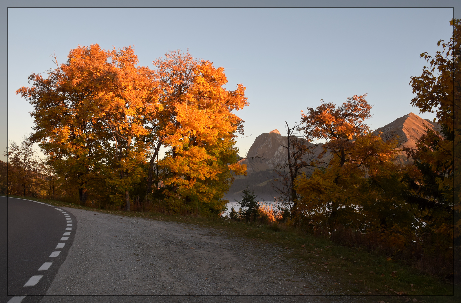 Ausklang eines hochnebligen Tages.

Blick auf den Gantrisch von der Strasse an der Flanke der Schüpfeflue. Bunte Blätter im gleichfarbigen Licht, damit ist die Kamera völlig überfordert. Oktober 2025.