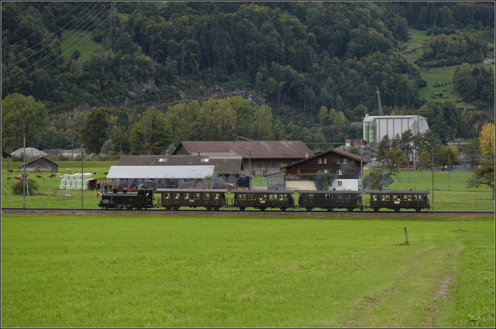 Ballenberg Dampfbahn nach Innertkirchen.

G 3/4 208 entlang in Lauimatten am Ende des Brienzer Sees. Oktober 2019. 