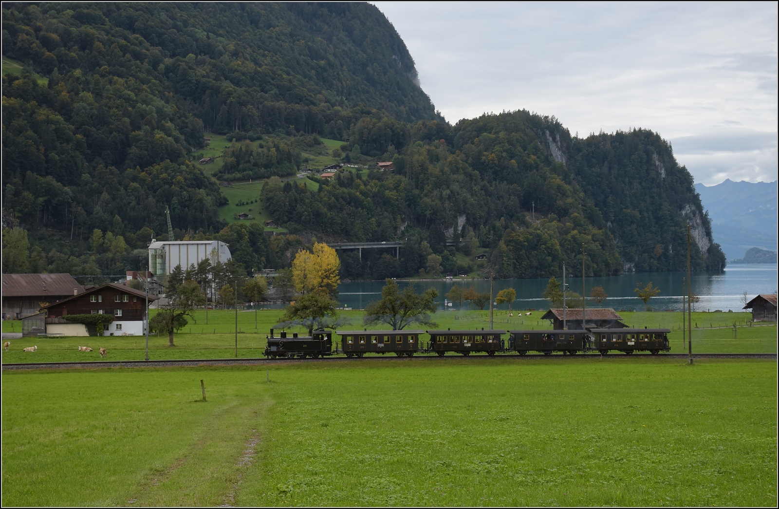 Ballenberg Dampfbahn nach Innertkirchen.

G 3/4 208 entlang in Lauimatten am Ende des Brienzer Sees. Oktober 2019. 