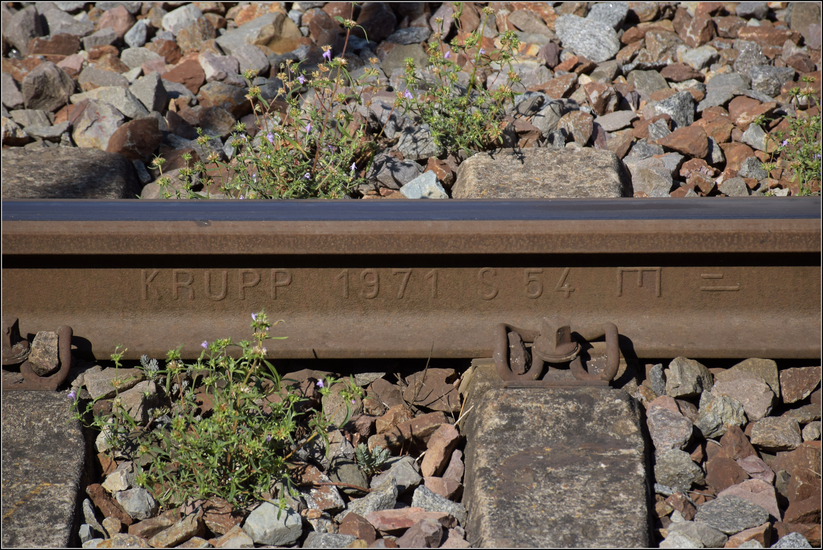 Das bergseitige Gleis wurde vor knapp 10 Jahren erneuert. Das seeseitige Gleis hingegen ist noch eine echte Antiquit�t. Krupp 1971 S54 spricht das Walzzeichen. Allensbach, August 2026.
