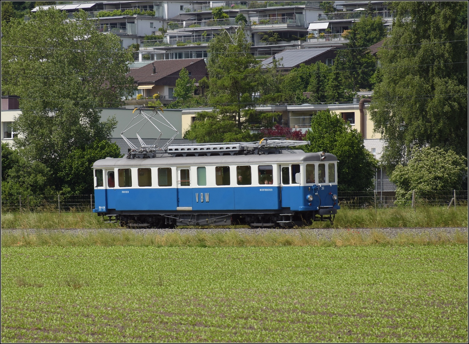 Das Blaue Bähnli auf der falschen Strecke nach Worb. Stettlen, Juni 2023.